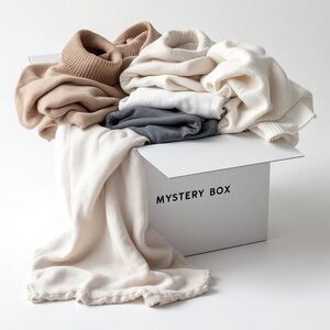 Mystery Box Lot of 15 Pieces of Women's Clothing Size L, XL, 12